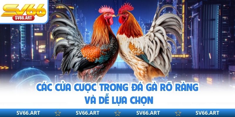 Đá Gà SV66 Các cửa cược trong đá gà rõ ràng và dễ lựa chọn