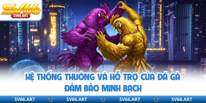 Đá Gà SV66 Hệ thống thưởng và hỗ trợ của đá gà đảm bảo minh bạch